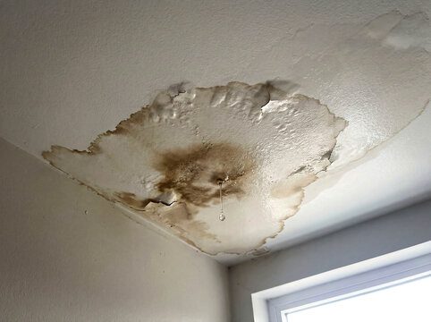 water damage to a ceiling for roof